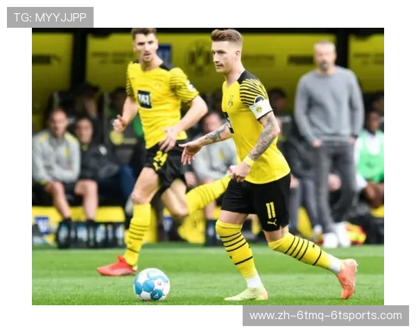 德甲球队围巾图片大全球迷文化的实物体现与情感链接