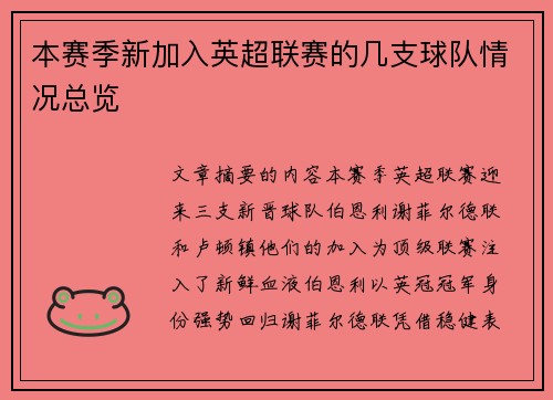 本赛季新加入英超联赛的几支球队情况总览